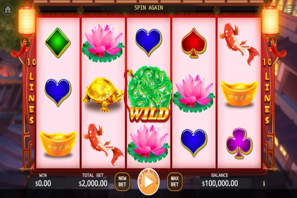 double fortune 5