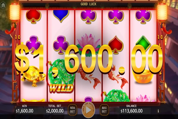 double fortune 8