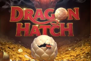 dragon hatch dragon hatch 300x200